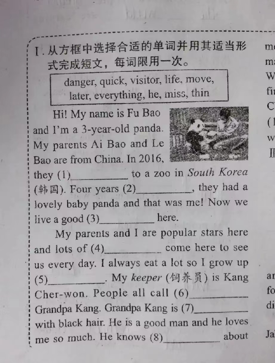 近期福宝和姜爷爷的视频,福宝回国姜爷爷和宋爷爷上热搜