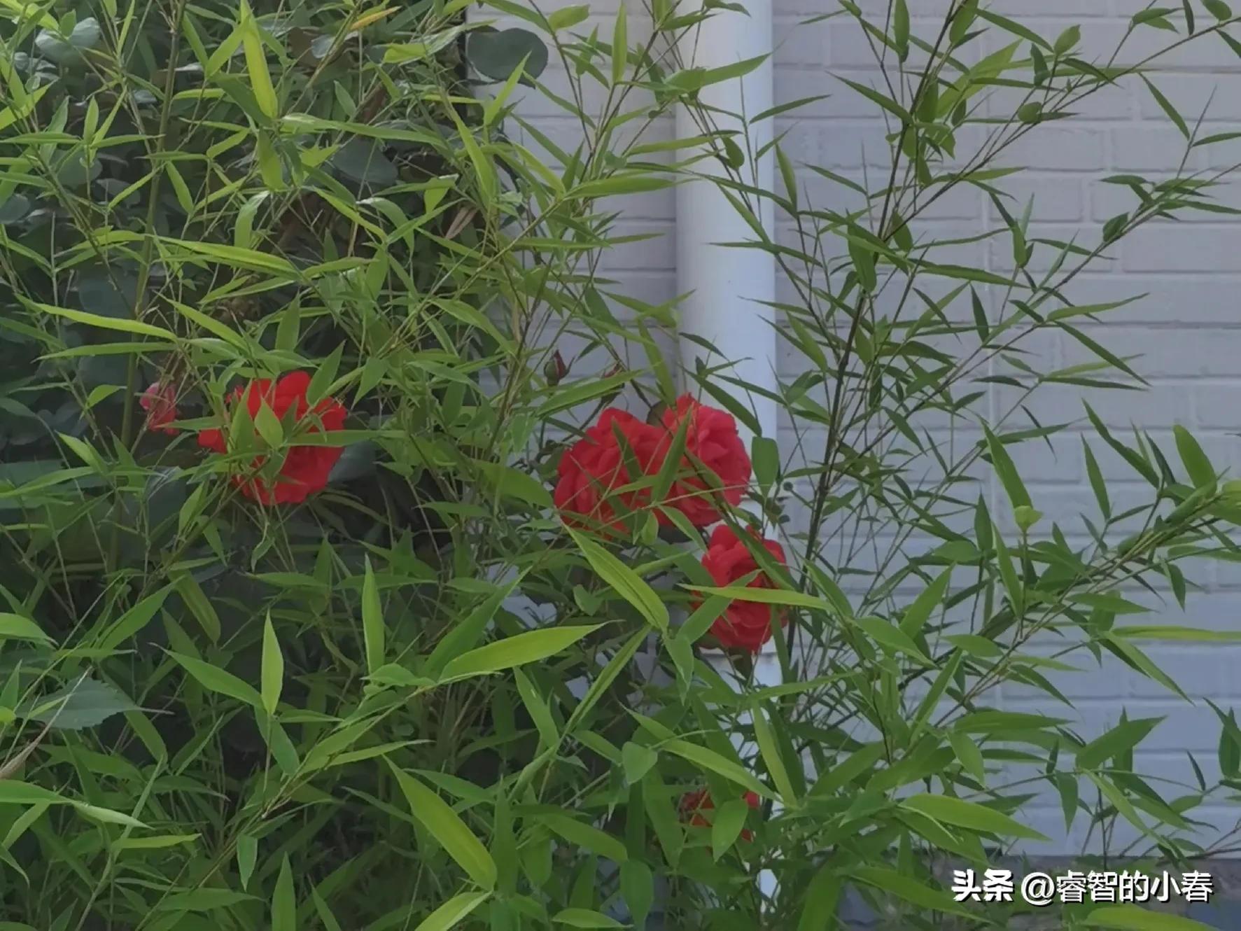 感冒症状和表现,感冒症状怎么缓解