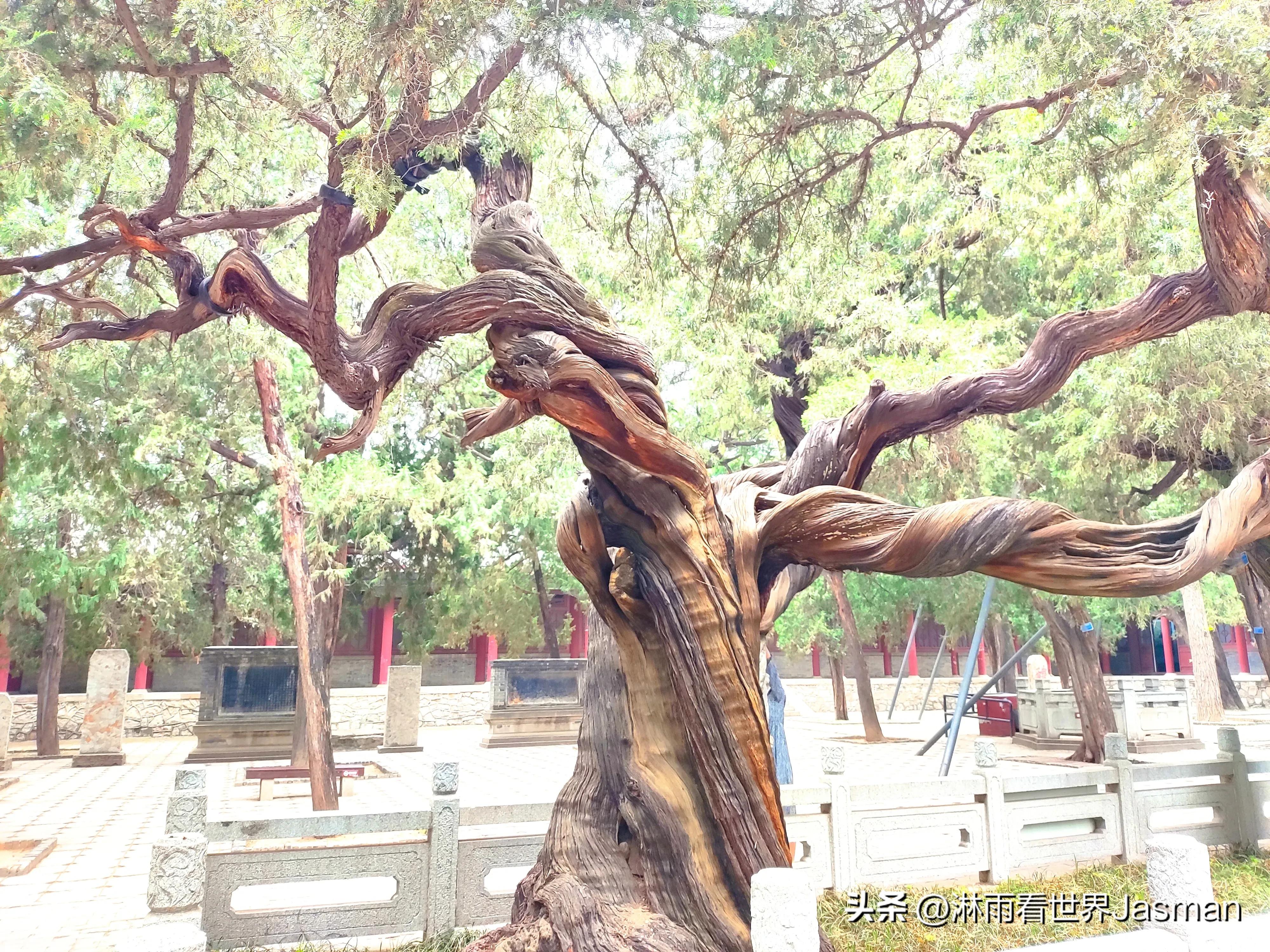 泰山庙东岳庙,泰山东岳大帝庙是岱庙吗