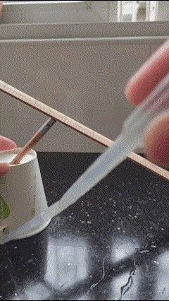 刚学物理怎么学好,初学怎么把物理学好