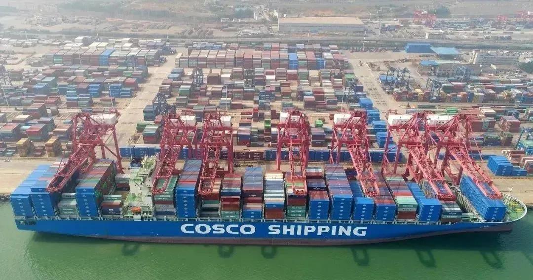 中远海控除权除息是什么意思,中远海控确认股息分红到账了吗