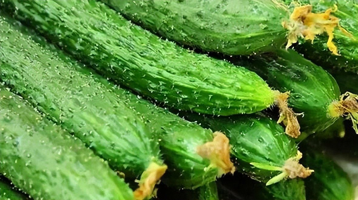 夏季适合老人的养生食物,夏季降火推荐14种食谱