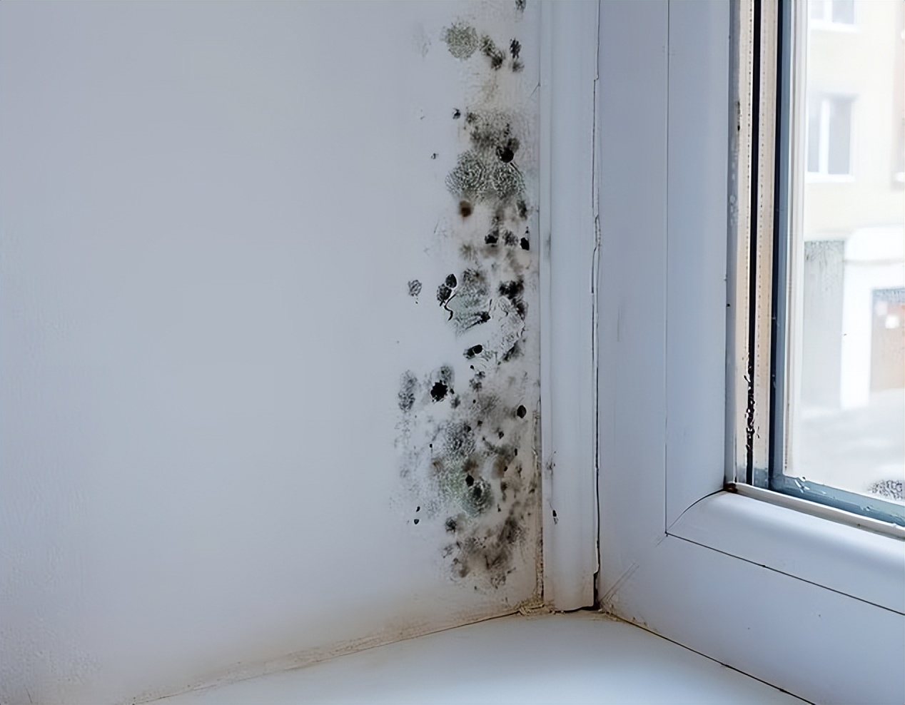 鬼真的存在吗？爆炸头综合症、墙上的霉菌可能才是闹鬼的元凶