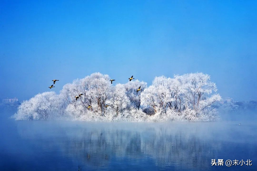 面对男人的暧昧装傻的女人,对男人绝情不纠缠的女人