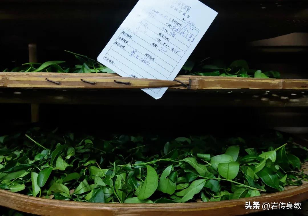 武夷山牛栏坑肉的独有的口感,武夷山的牛栏坑到底有多大