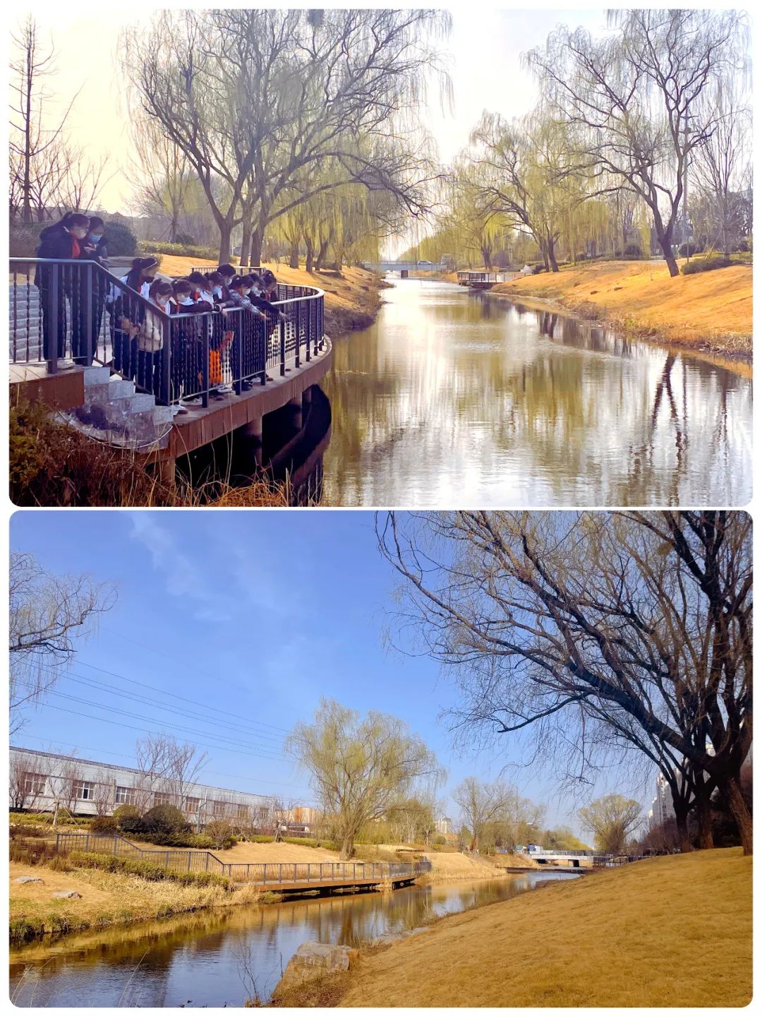 小学开展世界水日主题活动,小学世界水日的活动简报