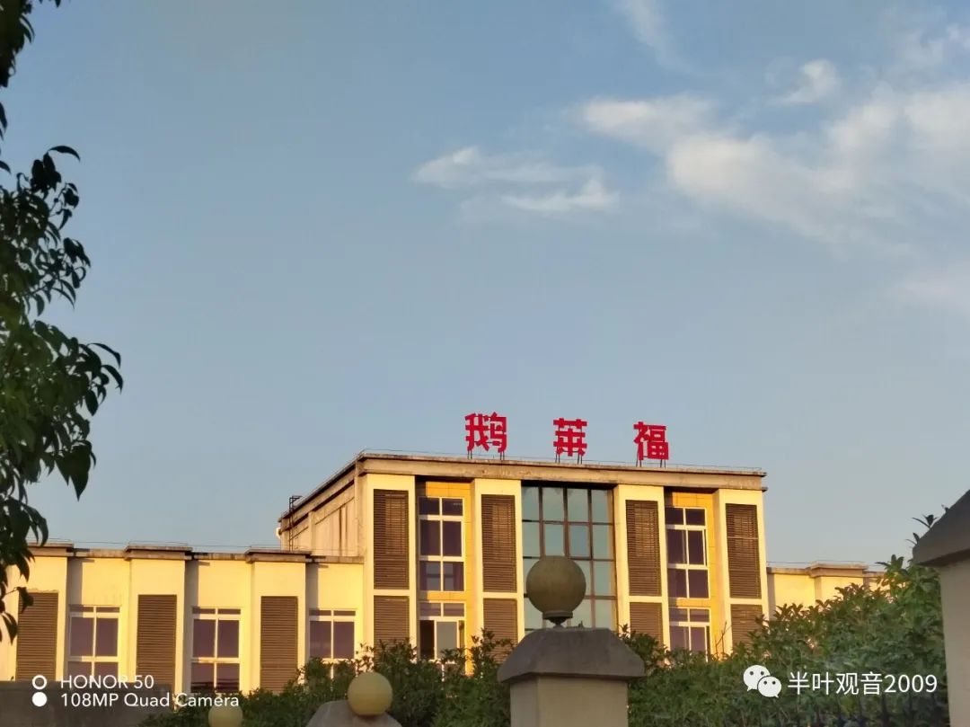 鹅莱福“招商合伙人”福建试点启动,林锦邀您分享688笔加盟费