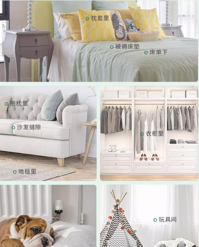 最权威床上螨虫最好的消除方法,怎么判断床上有螨虫教你正确方法