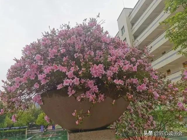 第一章知识点归纳,第一章集合的概念讲解视频教学