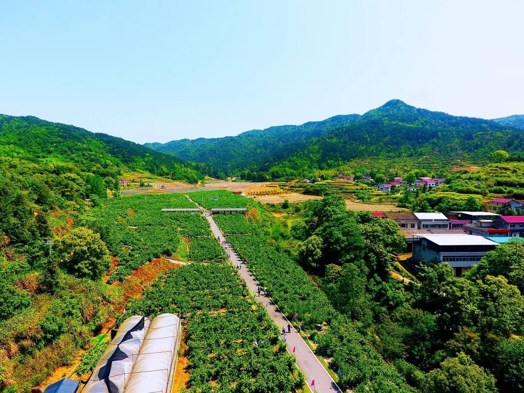 全国十大乡镇综合实力排名,全国10强镇排名