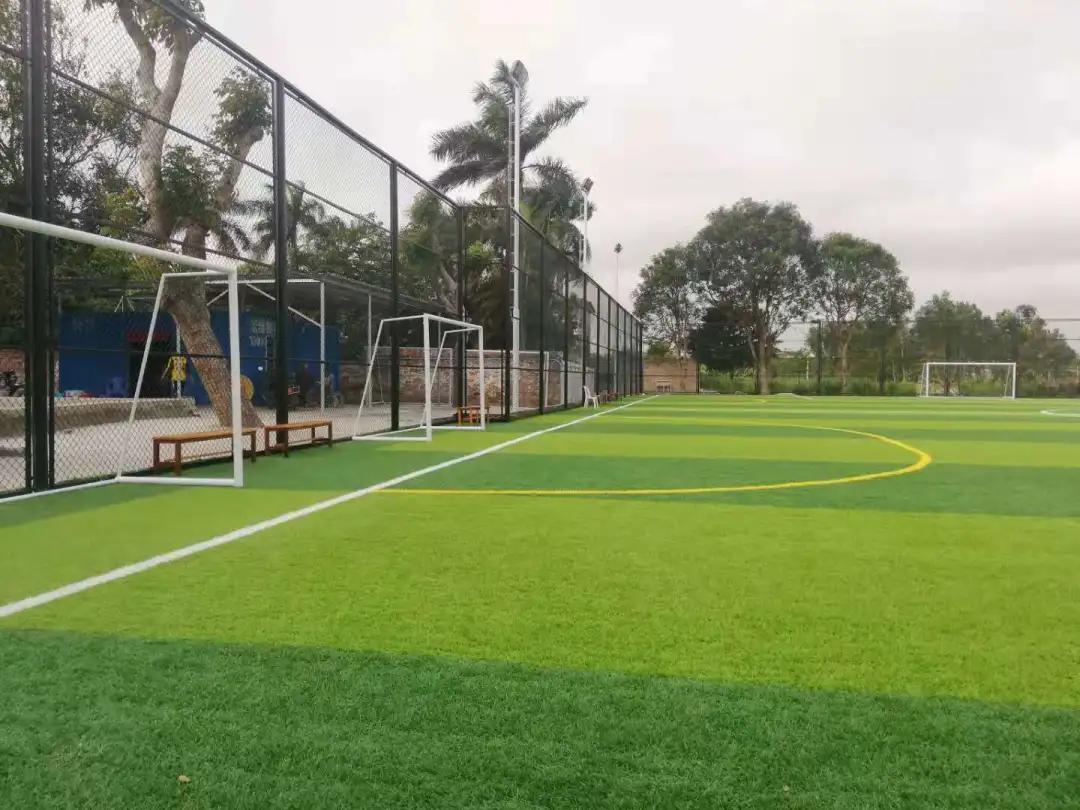 吴川哪里有免费足球场,吴川有开放性的足球场吗