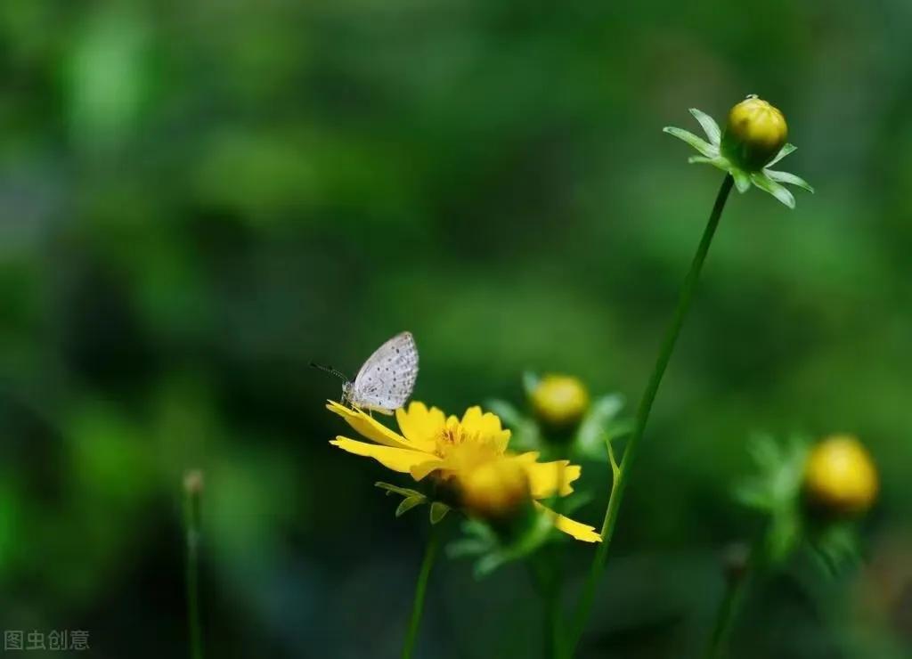 56岁阿姨陈述：老公中风后，日子反而过得比以前轻松自在了