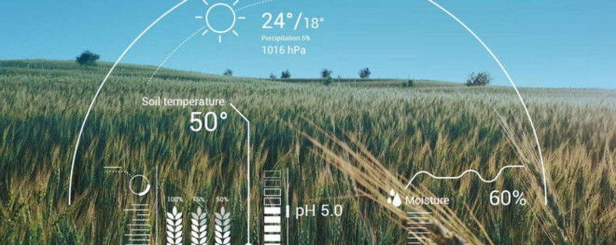 乡村振兴数字振兴包括哪些,乡村振兴受益概念股