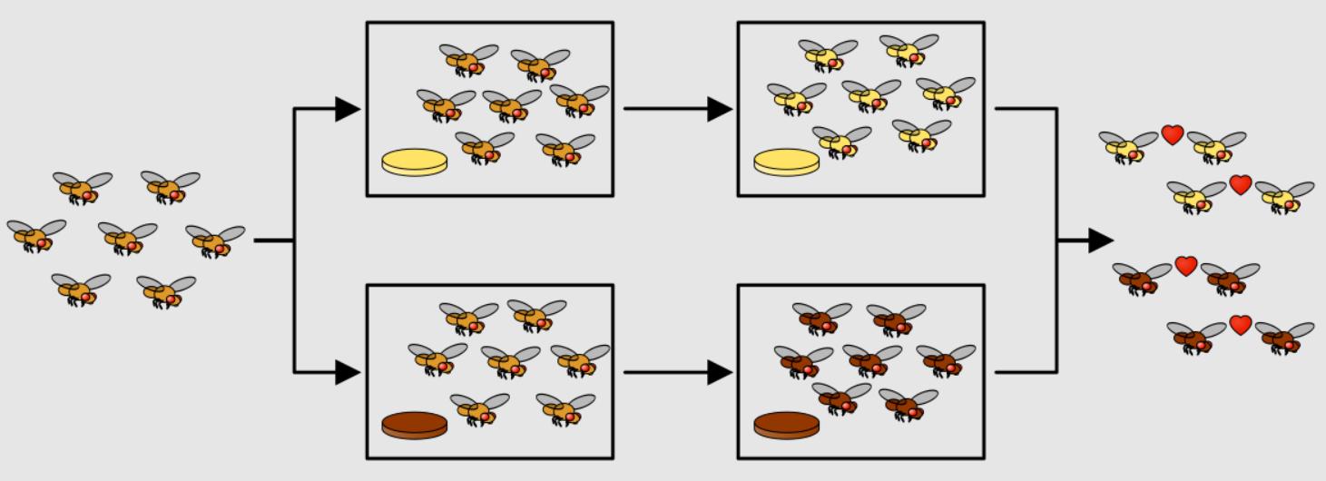 大象与犀牛是不同的物种，非洲公象，为何还要*暴强**犀牛呢？