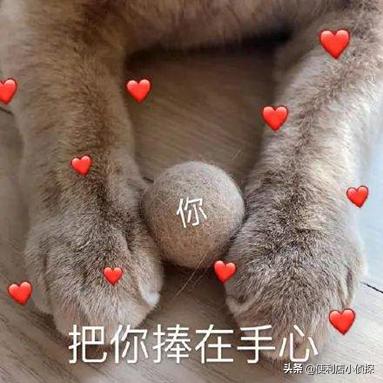 吃东西也超甜的石原里美,一点都不惊艳的石原里美