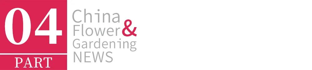 鄢陵模式,2023年鄢陵的发展