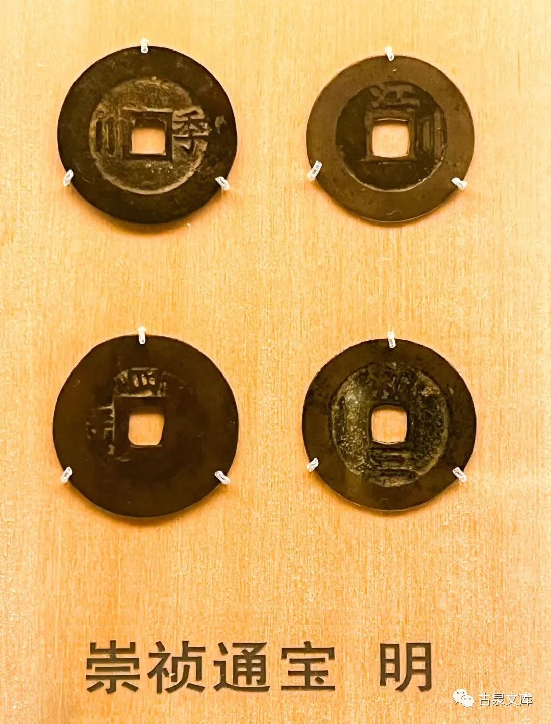 崔淳钱币专家,崔淳钱币