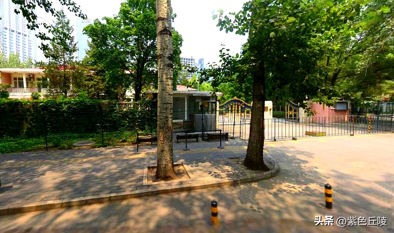 中乌外交关系现状今日新闻,乌克兰外长讲中乌关系