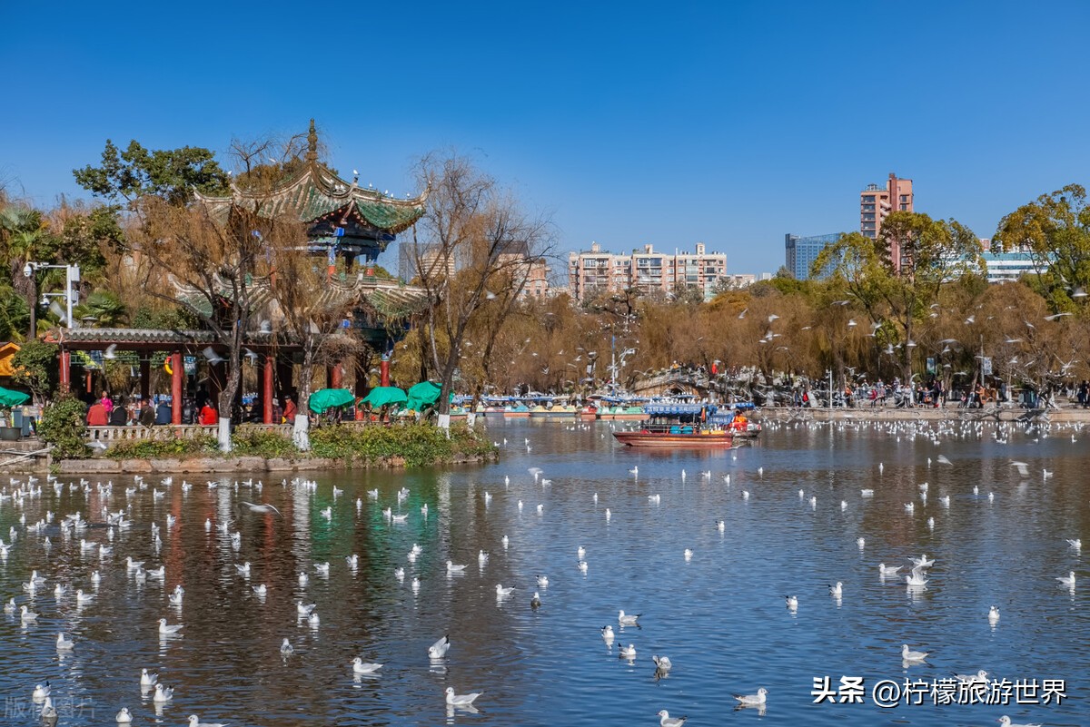 来云南昆明旅游攻略必去景点,来云南昆明必打卡的10个景点