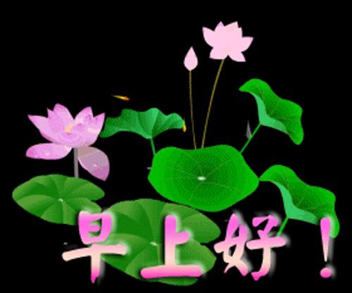 早安心语淡定从容悠然自得,简简单单平平淡淡的早安心语