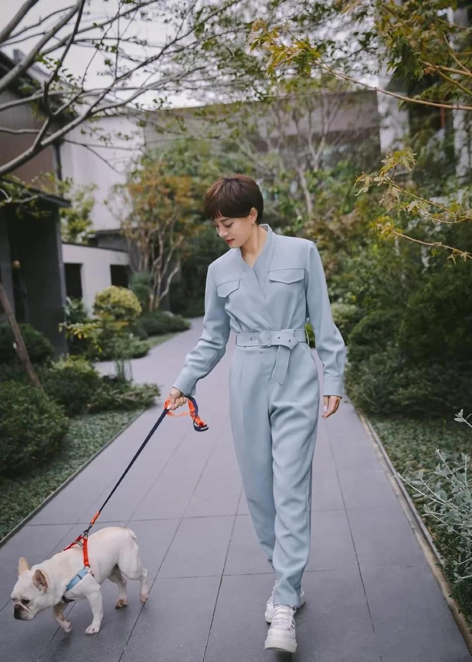 吴越和孙俪照片对比,孙俪与吴越的相似度