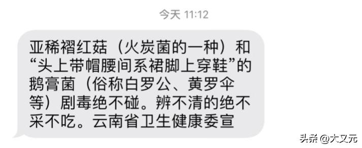 中国最牛逼的吃货,云南人吃得有多生猛