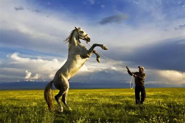 这条惊艳奇绝的公路,行走在天山脊梁上的最美景观公路