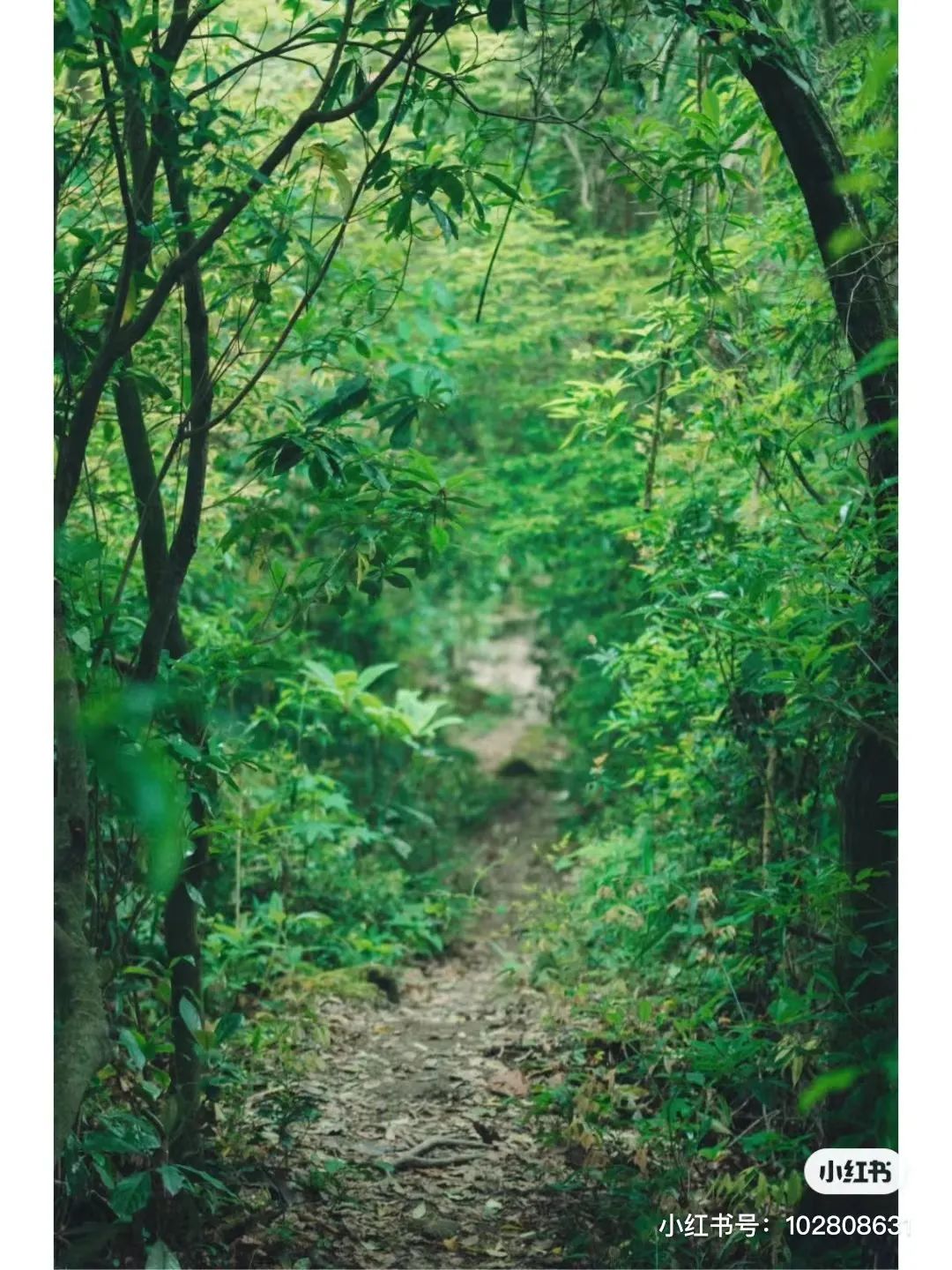 成都周边两天徒步推荐,成都周边徒步耍水一日游