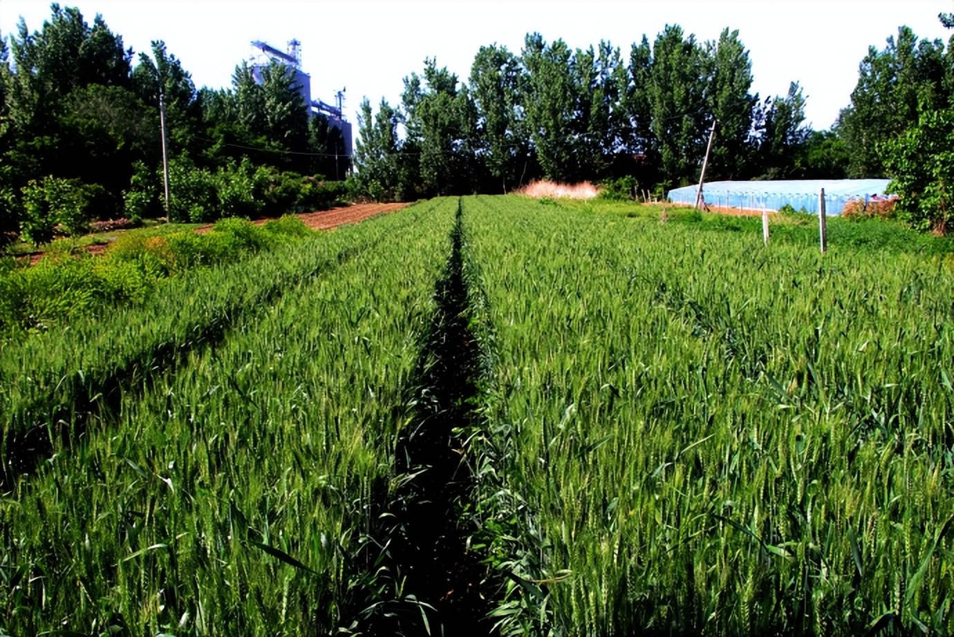 体检·小酌·途中·公园·侄女·其它