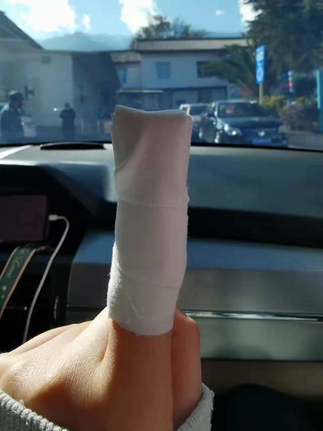 荆棘生长过程,荆棘成长过程