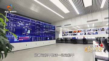 娲楀敖浜嗛搮鍗庡嵈瑙佷簡鐧藉彂,娲楀敖鐑熷皹