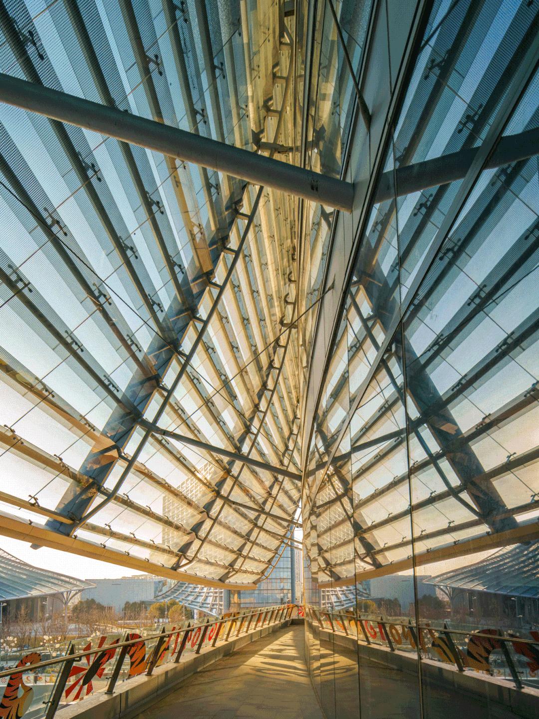 魔都宠物天地,魔都周边宠物友好景区