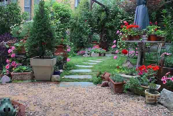 院里不栽三棵树,庭院里种一棵大树有什么说法