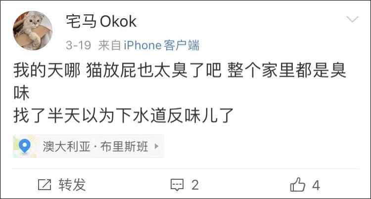 表面上可爱其实背地里也沙雕,表面萌萌哒