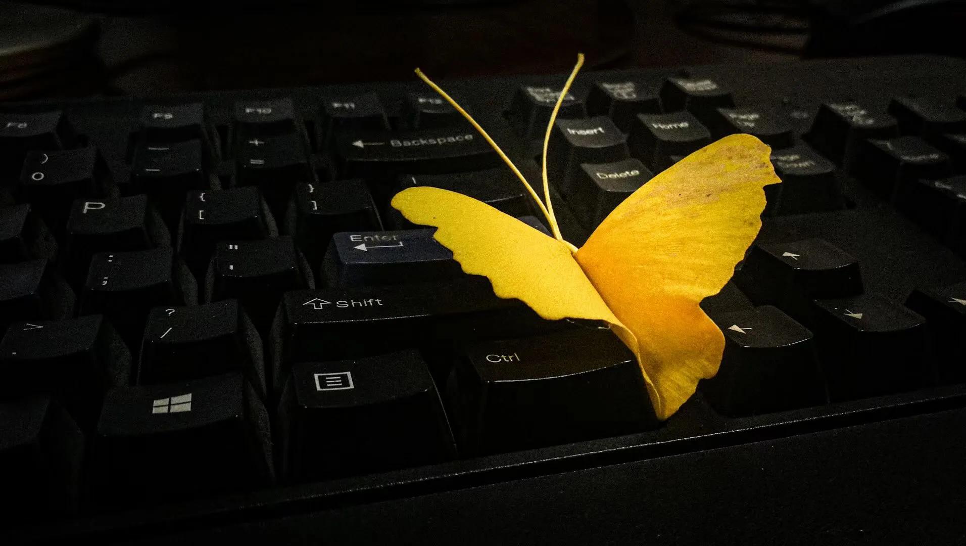 走进深秋的歌曲,走进深秋歌曲原唱