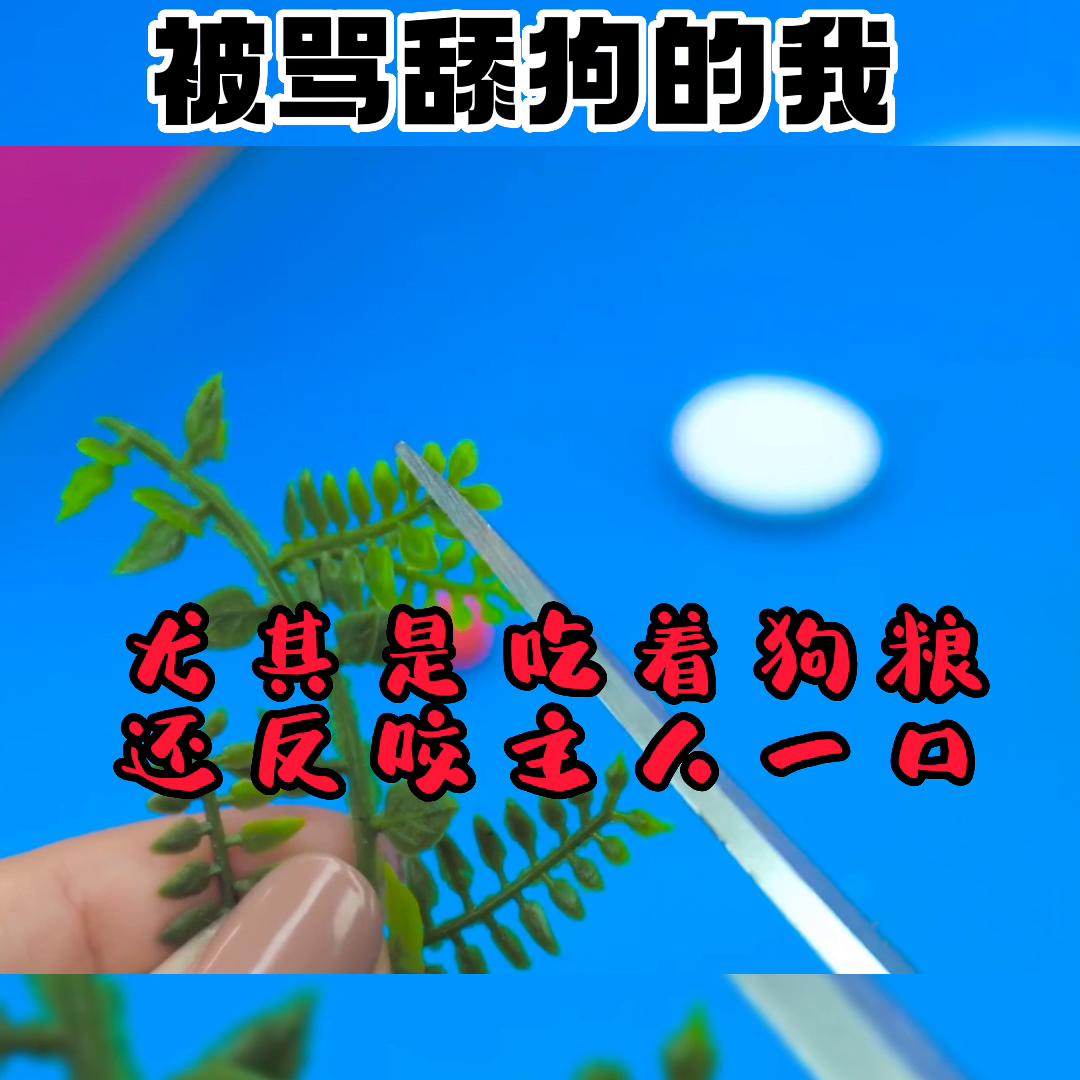 极度舒适解压系列,极度舒适感的视频