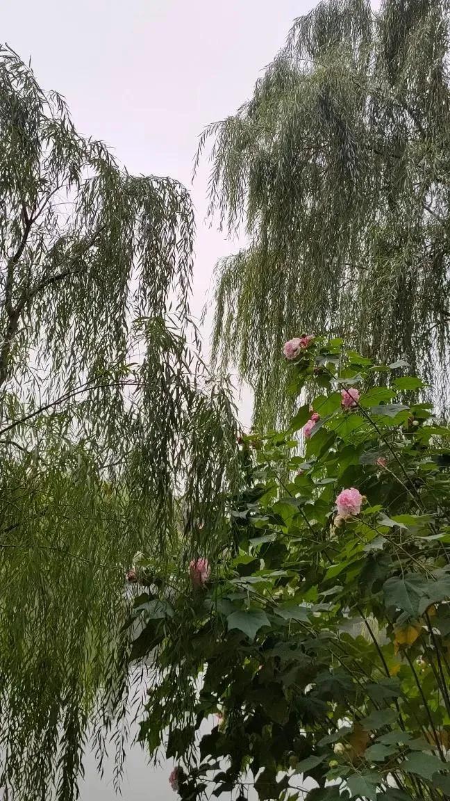 苏州东园园林地址,苏州东园园林简介