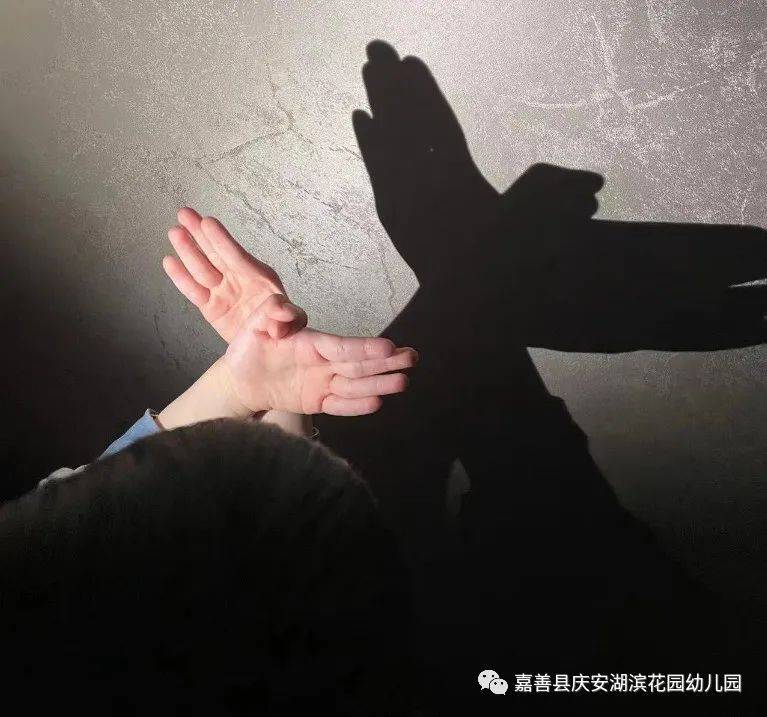 小手的探秘之旅|嘉善县庆安湖滨花园幼儿园小班组课程故事