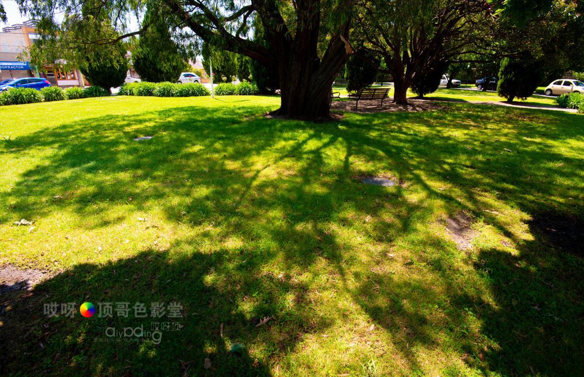 旅行家的眼神，看到不一样的人文澳洲（四之一）