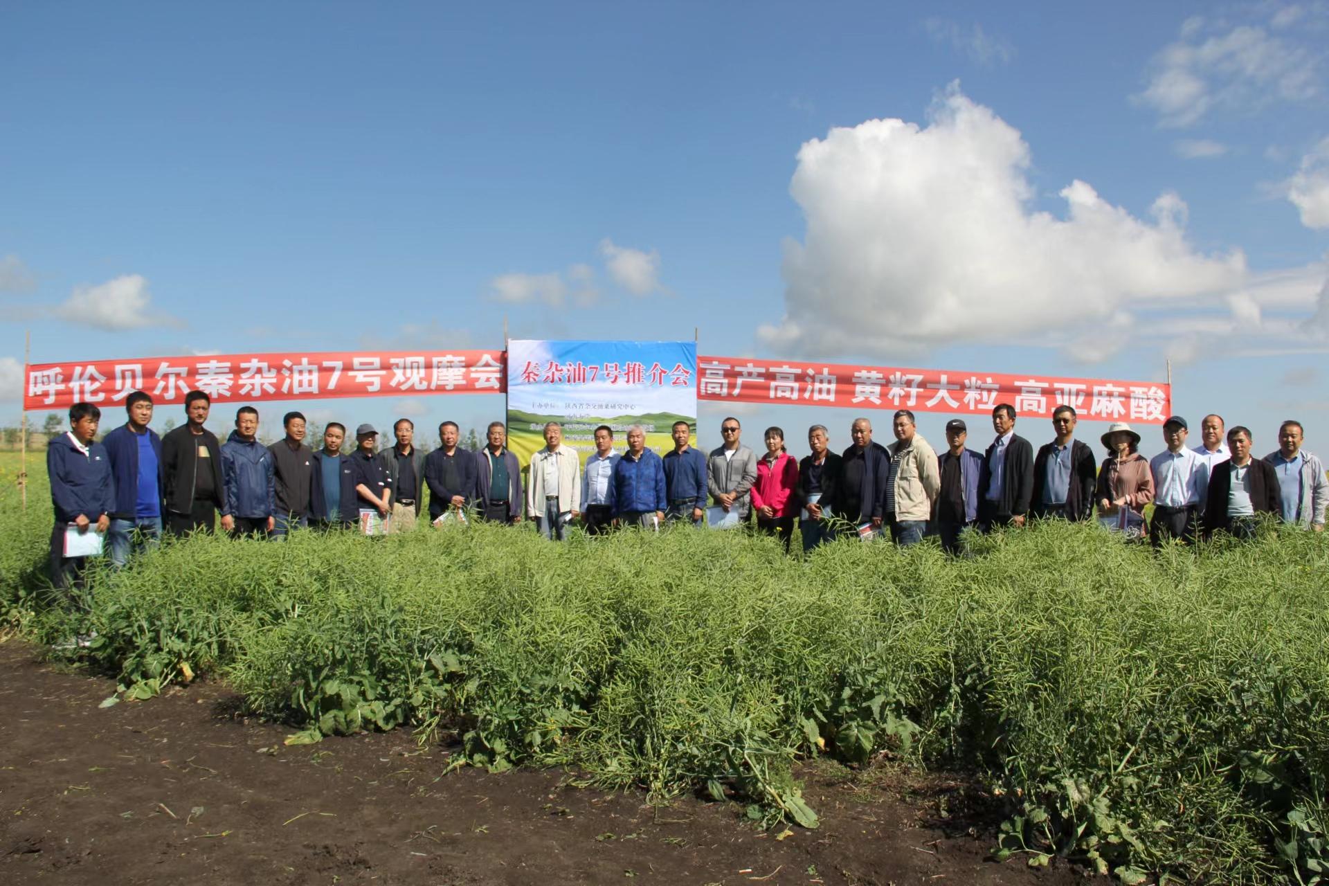 最美“油菜人”|韦世豪：耕耘在油菜田间的“魔法师”