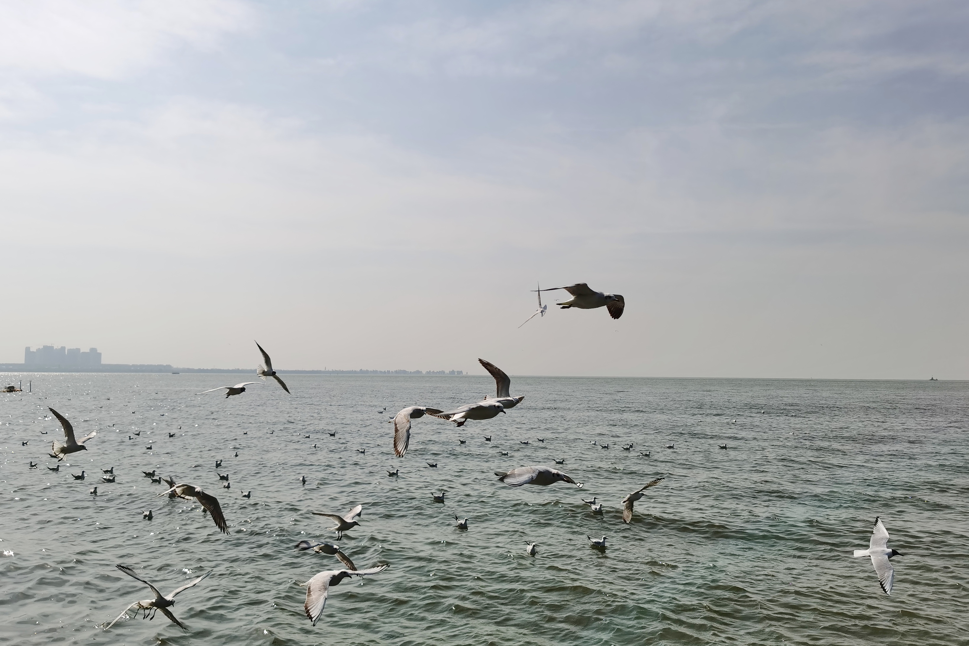 云南石林旅游必去的地方,云南石林可以游玩的地方