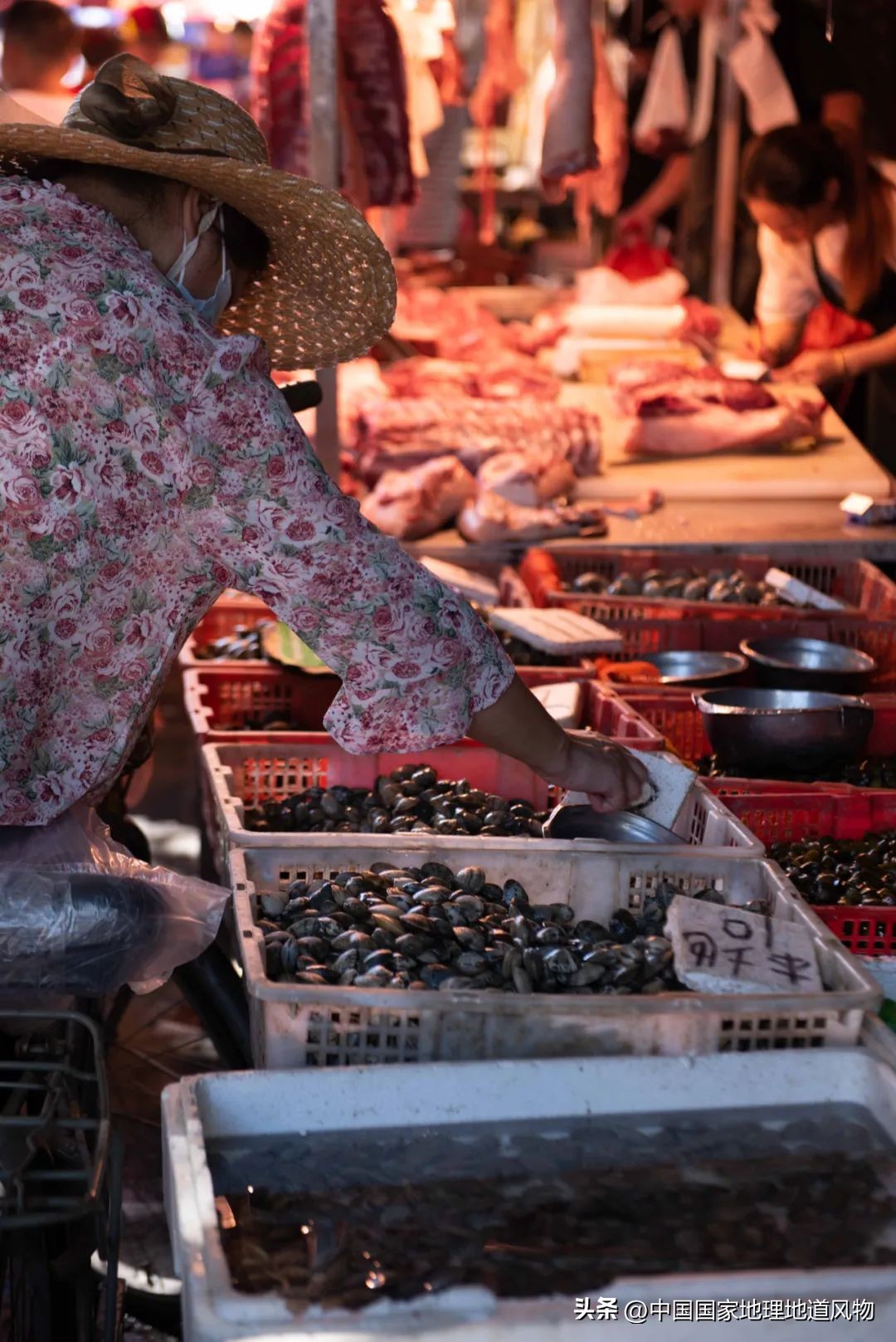 现在的海鲜什么比较好吃,中国哪的海鲜比较好