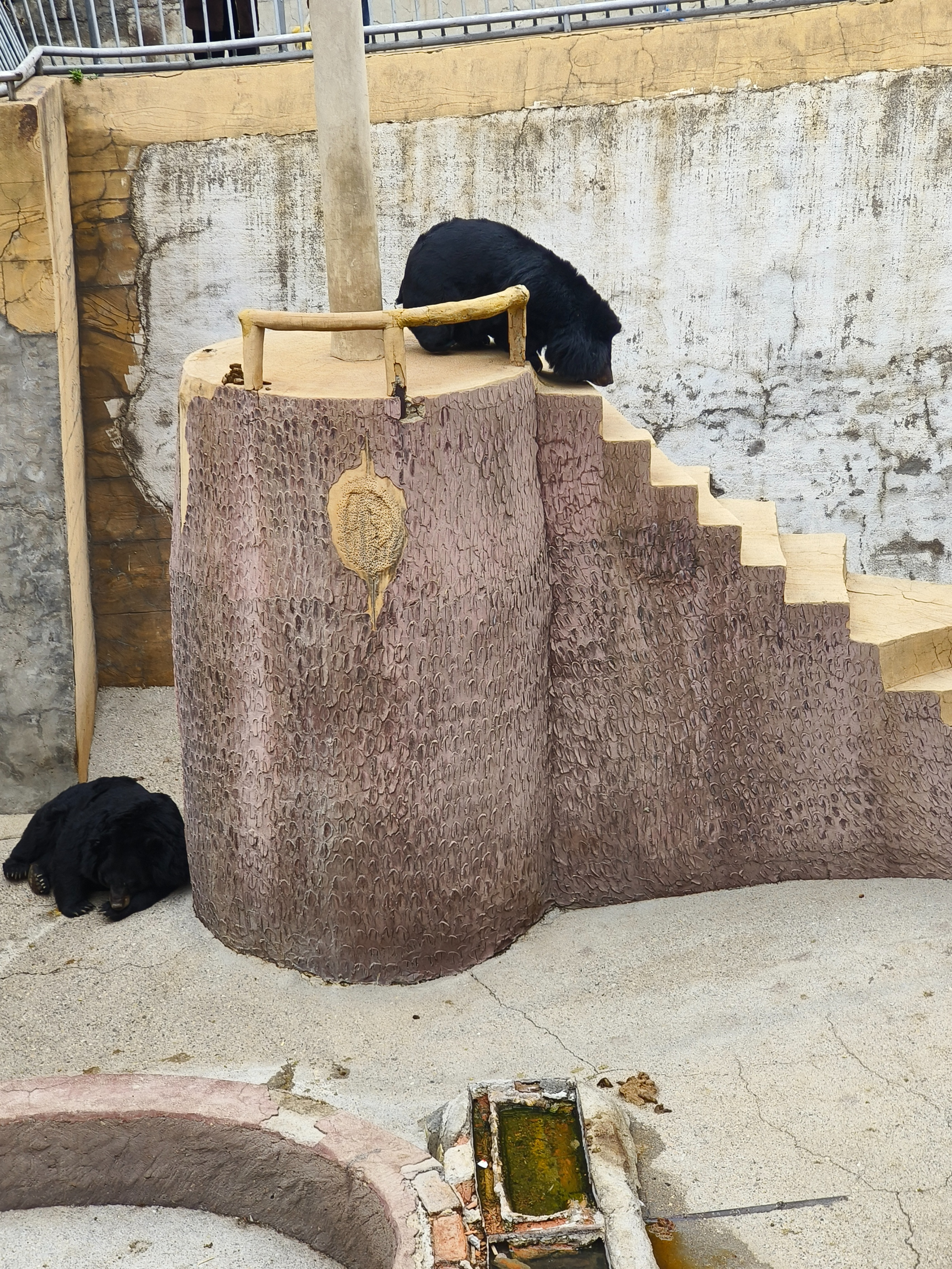 一家老小成都到北京旅行游记2-第三日-长城行程安排