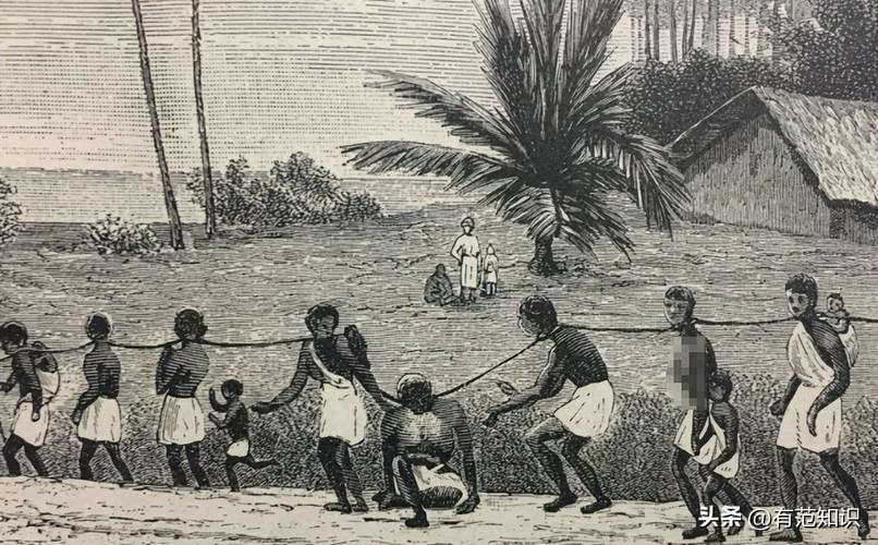 论尼罗河对埃及的影响,有关奴隶制度的文献综述