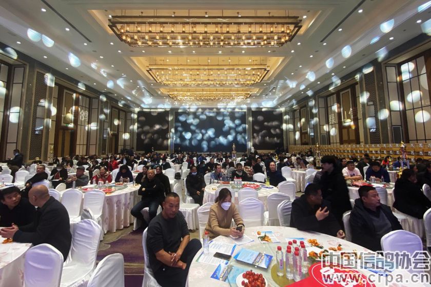 共襄盛举，再创佳绩2022年“洲际杯”泰山信鸽站颁奖典礼隆重举行