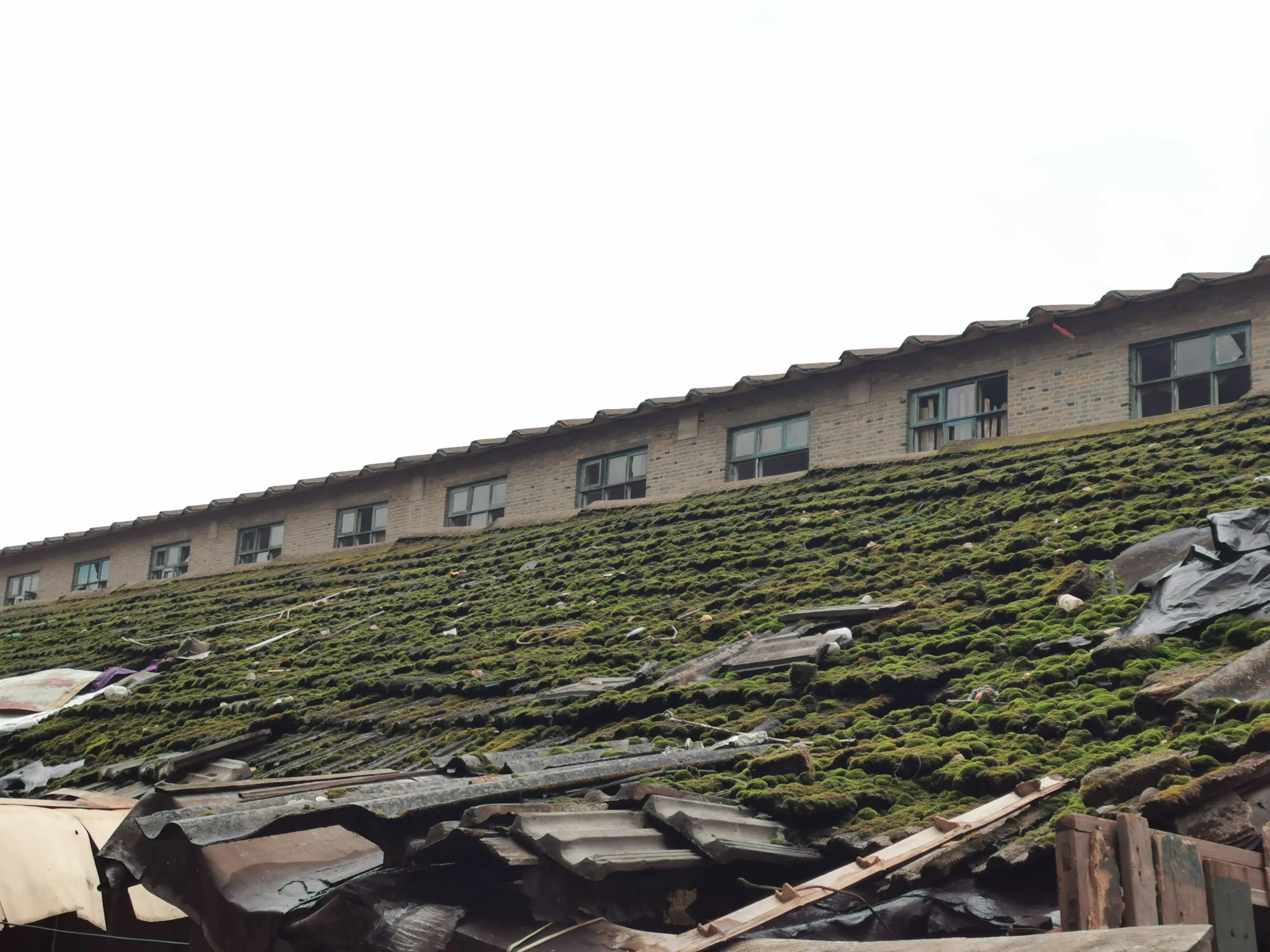 老爸的童年往事,老爸和老妈的故事