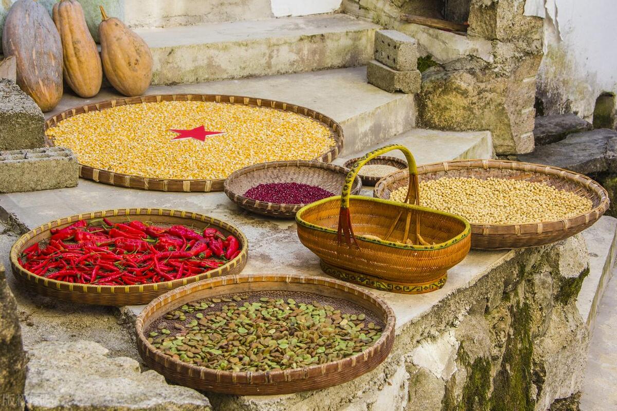 2023年秋季农民致富的五大机会与策略