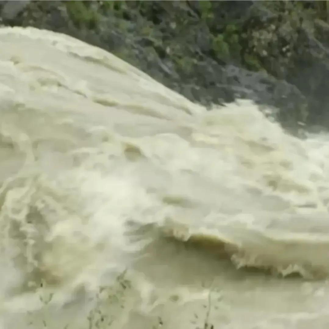 辽宁男子承包5800亩山林,靠种植林下参,如今一年收入上千万