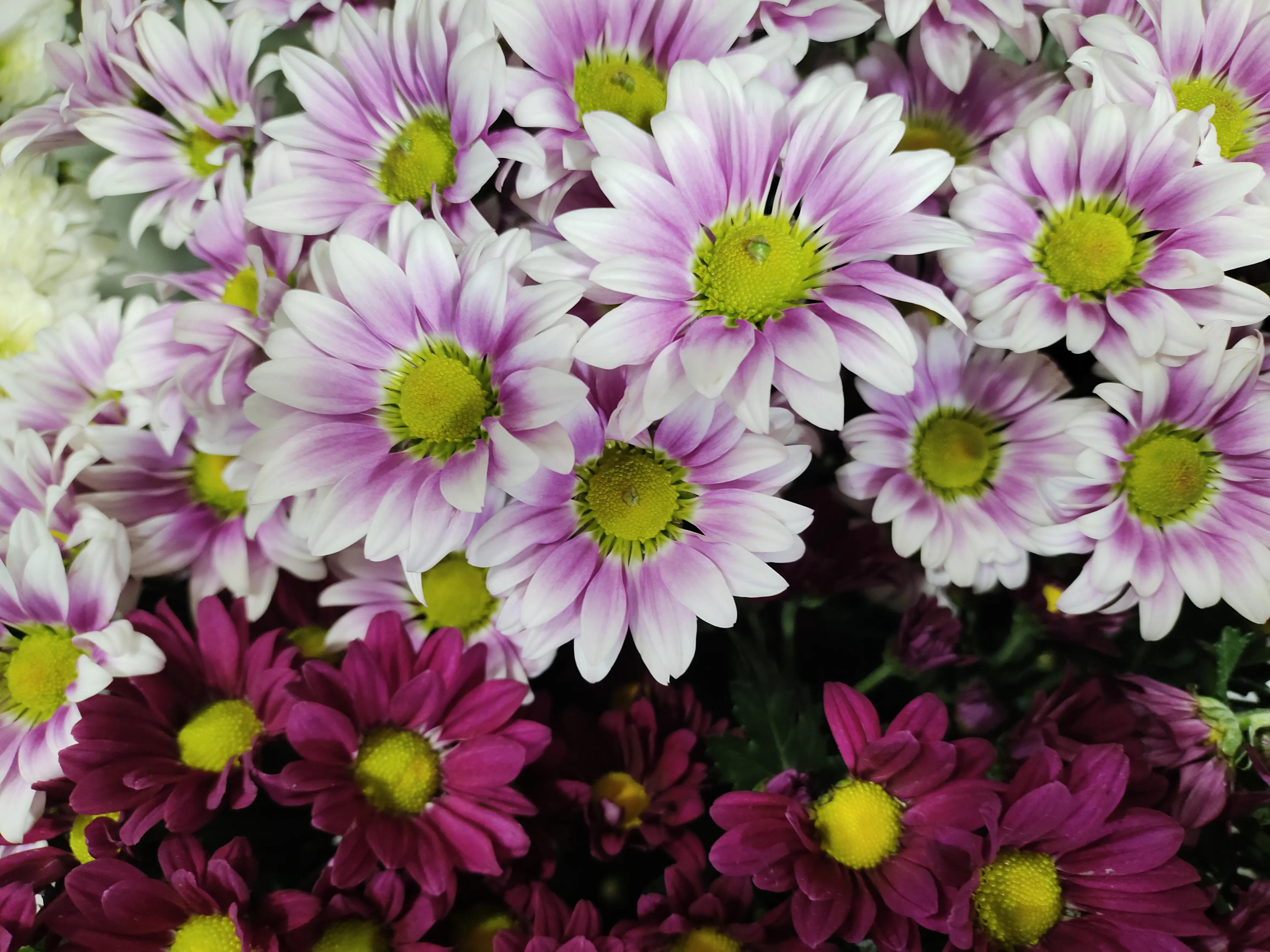 不懂装懂完整版视频,不懂装懂懂装不懂