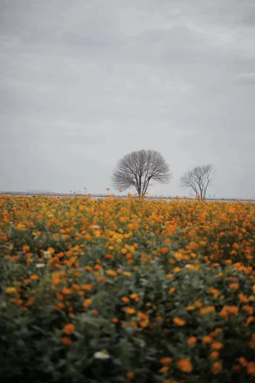 吃货必去的六大美食天堂,吃货们无法抗拒的美食天堂